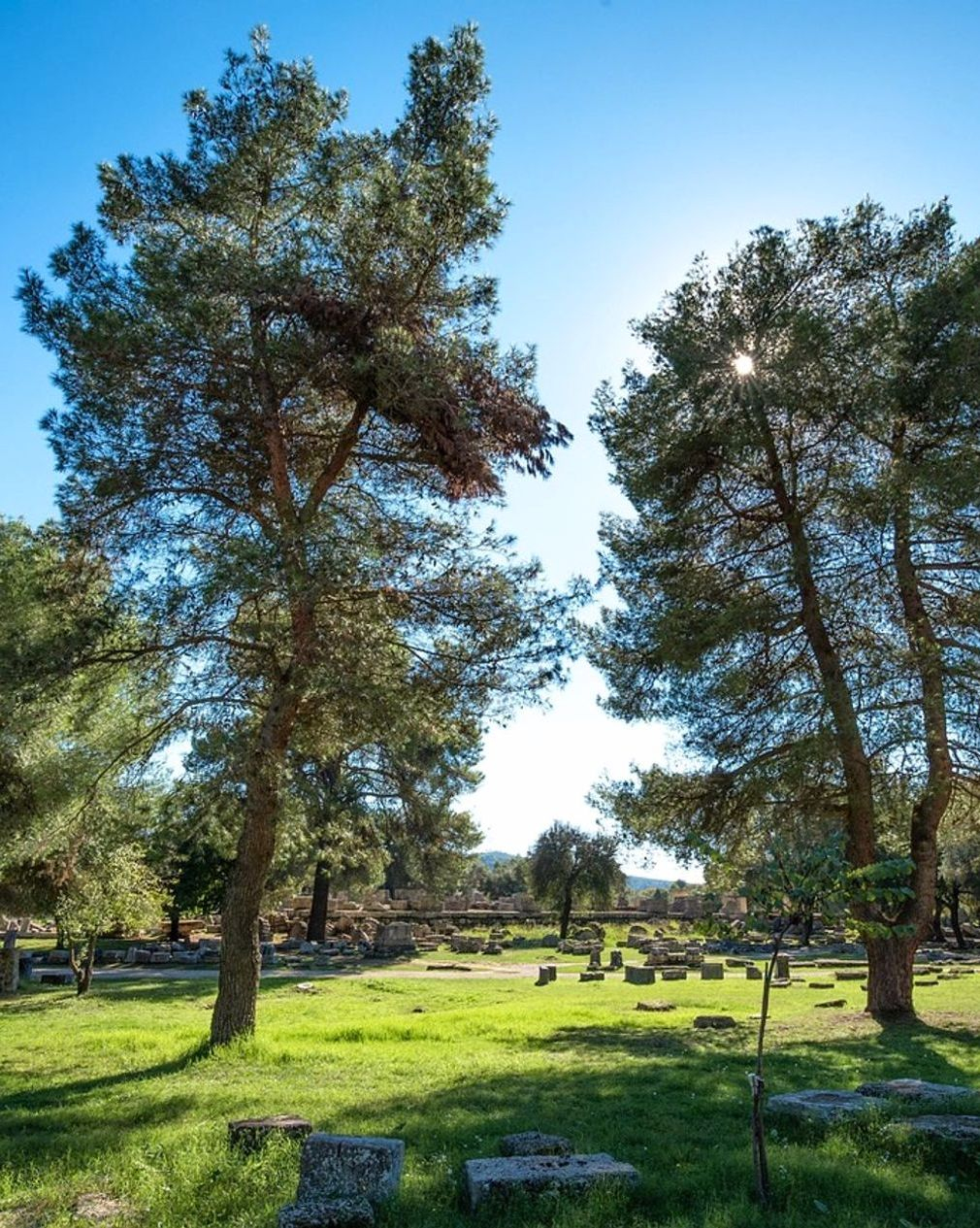 Yolculuğunuz başlıyor